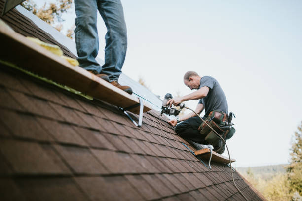 Quick and Trustworthy Emergency Roof Repair Services in Braidwood, IL